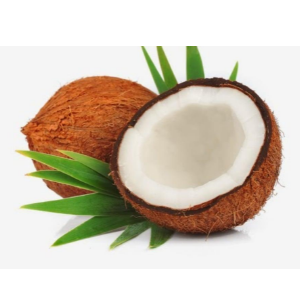 Coconut